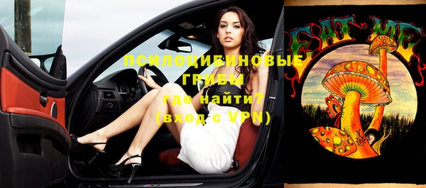 дурь Горно-Алтайск
