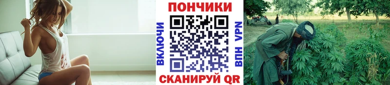Купить  Тогучин  Бошки марихуана MAZAR 